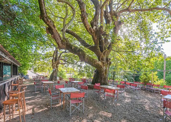 Lovely In With Kitchen *